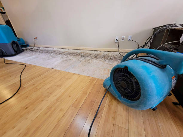 Professional Burst Pipe Water Damage technician working in Dravosburg, PA